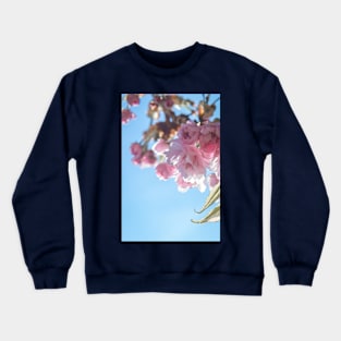 Sakura Crewneck Sweatshirt